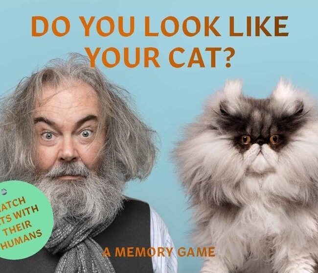Memory Game Do you look like your cat 