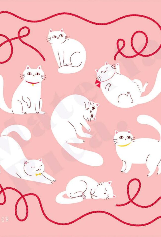 Pañuelo Cat Lovers