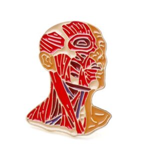 Pin Cabeza anatómica