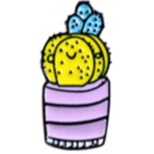 Pin Cactus Amarillo Maceta Rosa