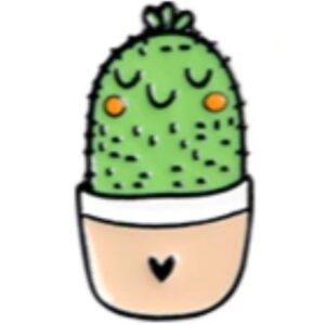 Pin Cactus Maceta Corazón