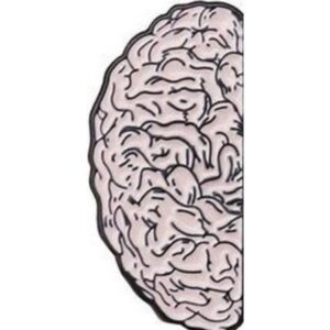 Pin Medio Cerebro
