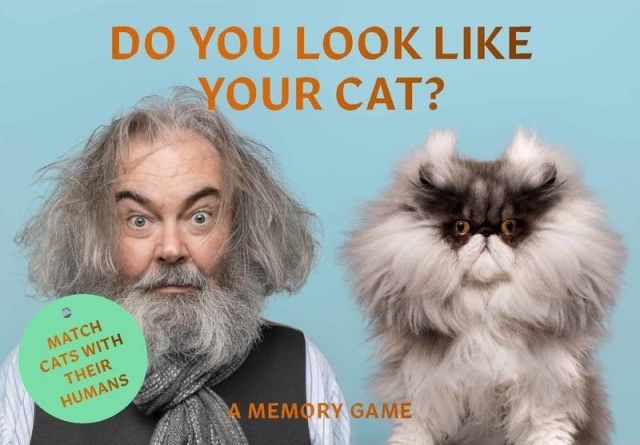 Memory Game Do you look like your cat?